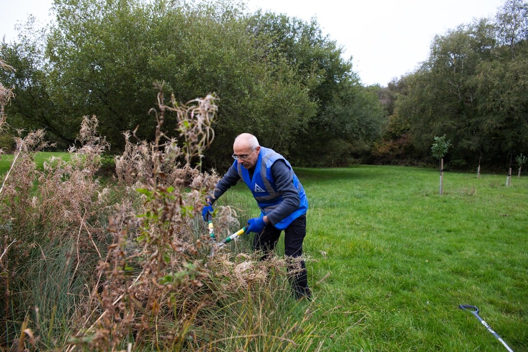 senior volunteers cleaning park