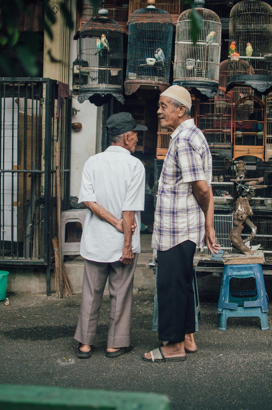 elderly friends chatting