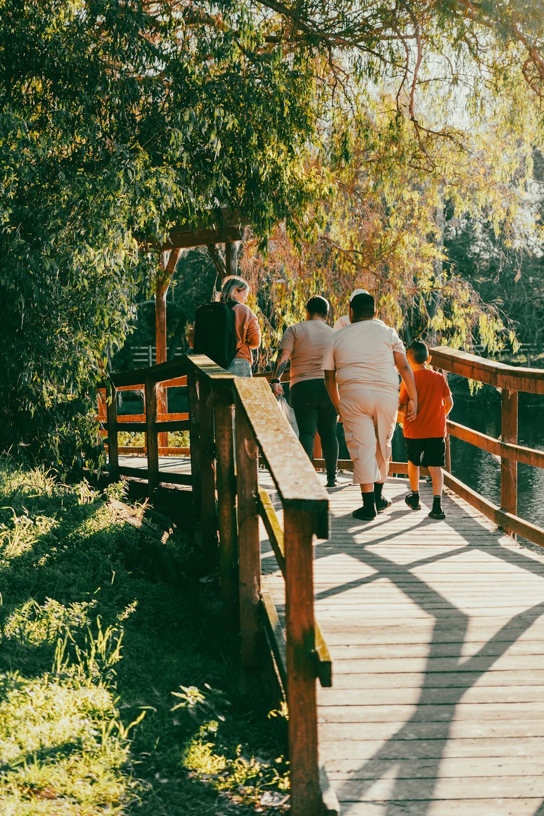 Group of seniors exercising outdoors in a park