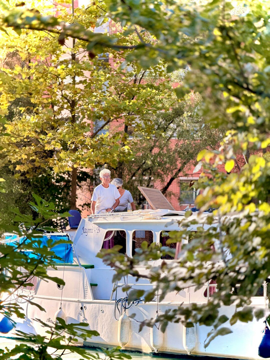 Seniors gathered outdoors for a social event